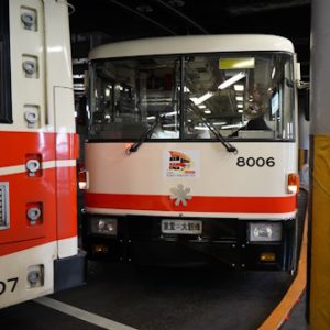 256 立山黒部貫光 8000形 無軌条電車(トロリーバス)
